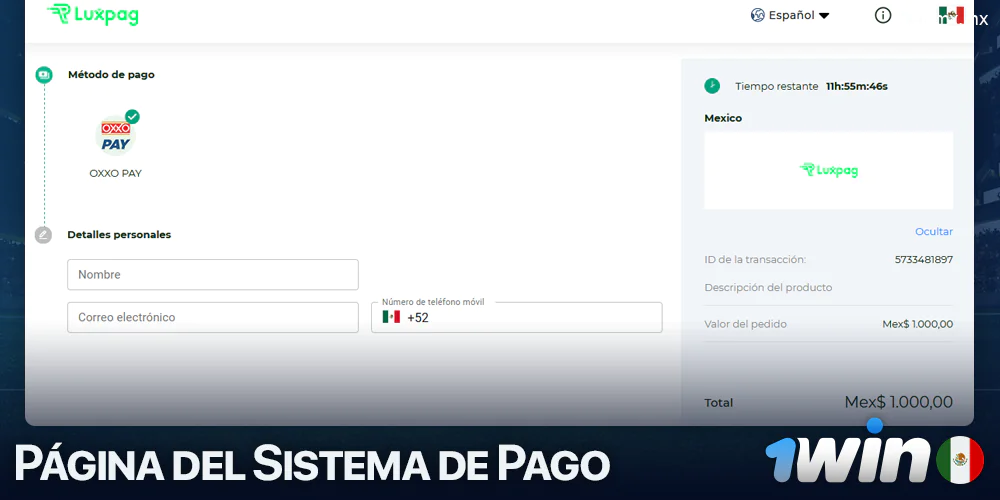 Sitio del sistema de pago al depositar en 1win
